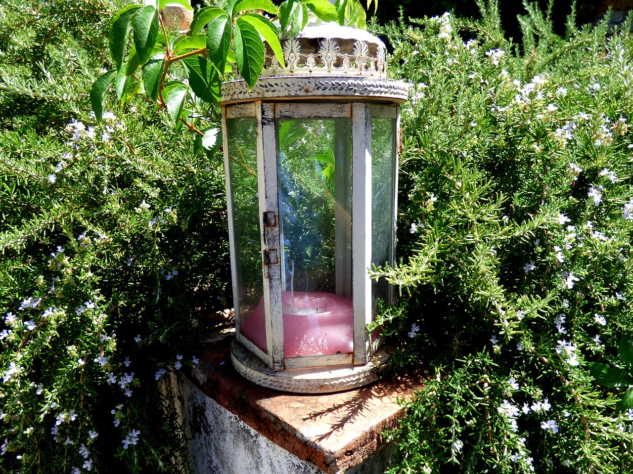 Oświetlenie – lampy ogrodowe i meble ogrodowe: promocje – gdzie?